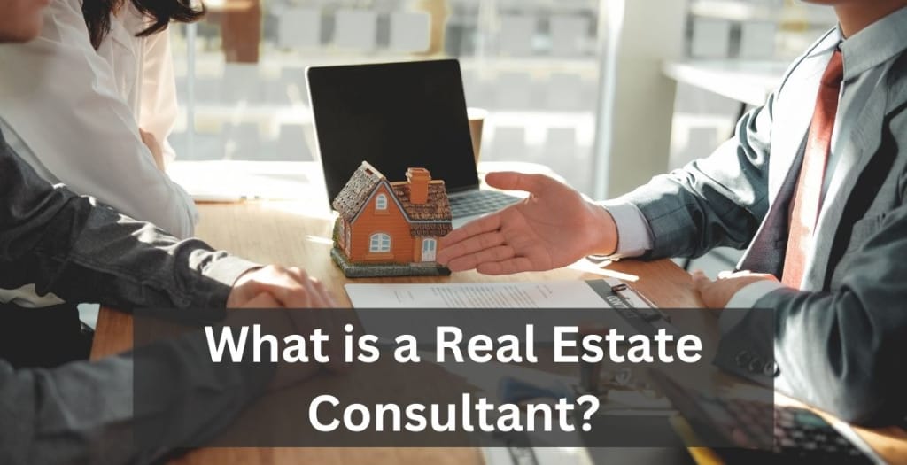 What is a Real Estate Consultant
