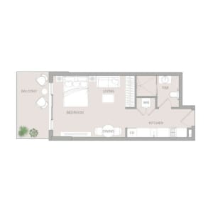 VERDAN1A 1 - Studio