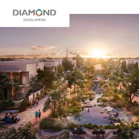 Diamond Developer
