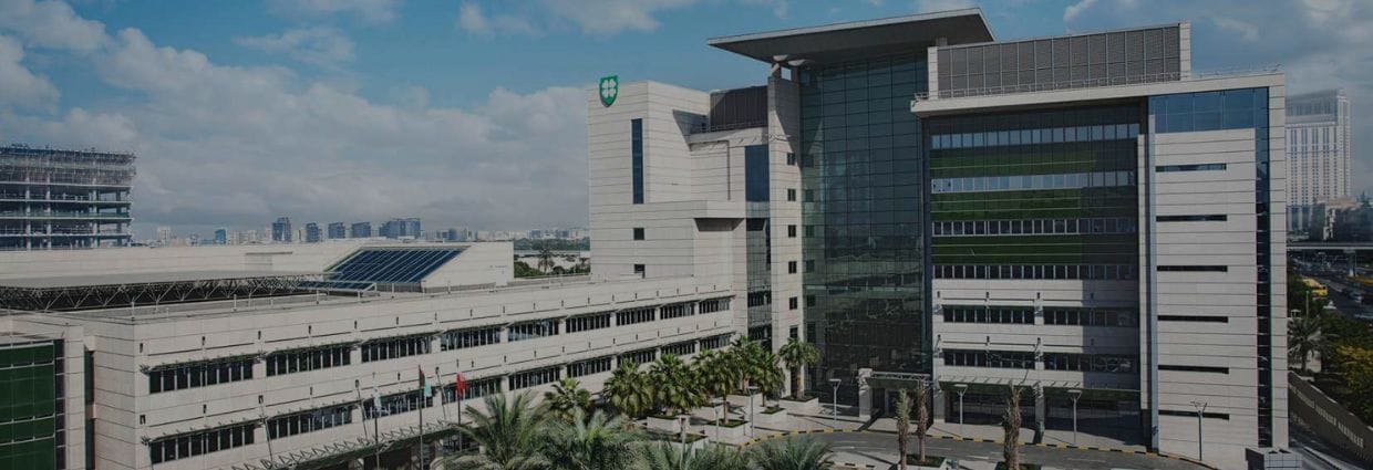 American Hospital Al Barsha South