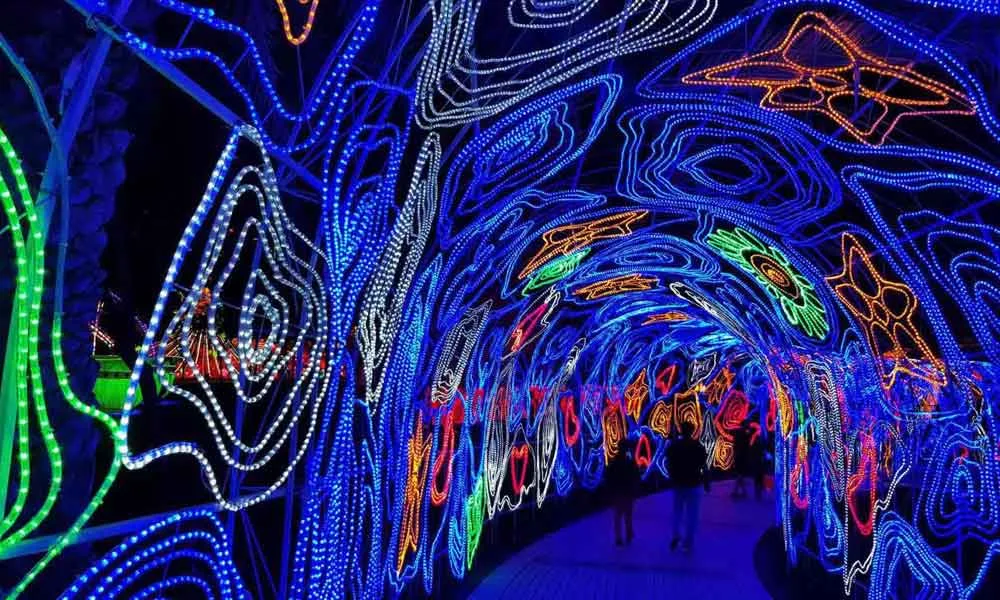 Enter a World of Lights at Dubai Garden Glow