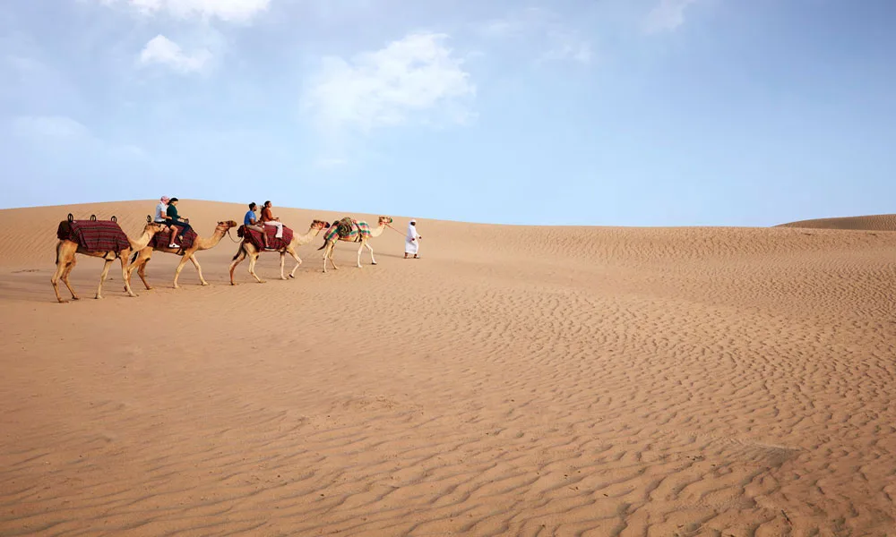 Enter the Desert Charm at Al Marmoom Desert Conservation Reserve