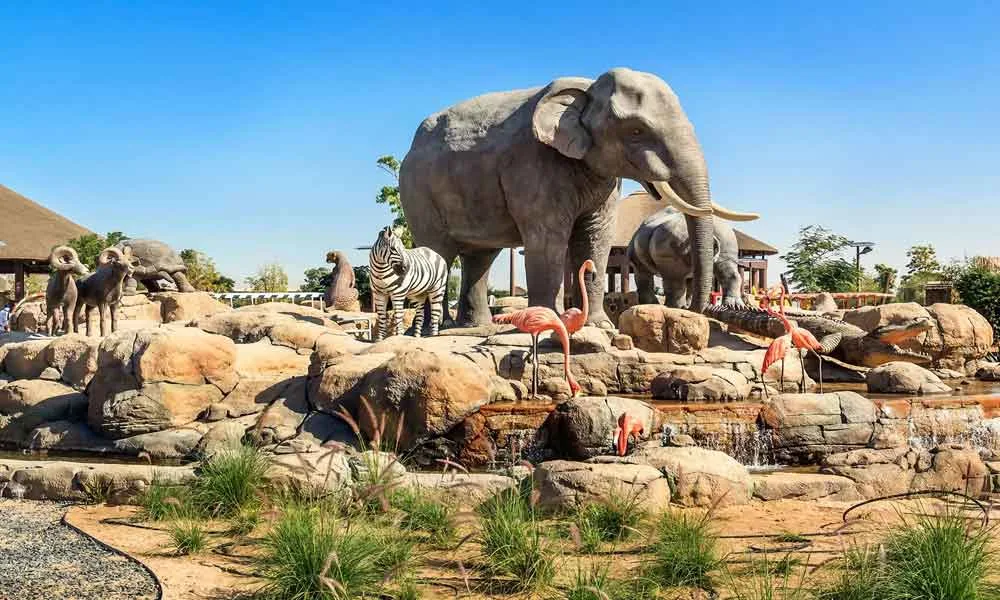 Go Wild at Dubai Safari Park