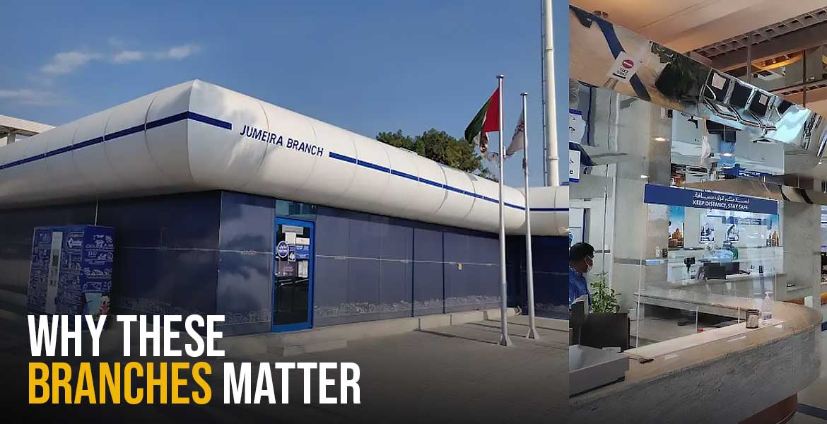 Why These Branches Matter