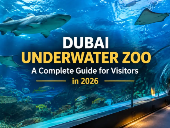 Dubai Underwater Zoo Guide 2026